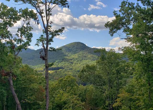 Property at LT17 Mill Rdg, Hiawassee, GA 30546