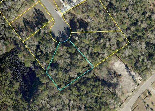 Property at 175 Marsh Oaks Dr, Waverly, GA 31565