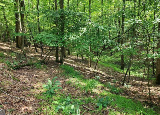 Property at 0 Oneida Cir, Ellijay, GA 30540