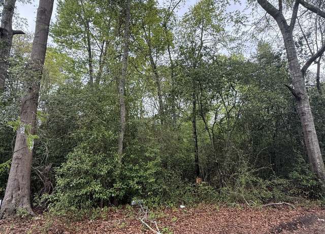 Property at 0 Ash Aly, Danville, GA 31017
