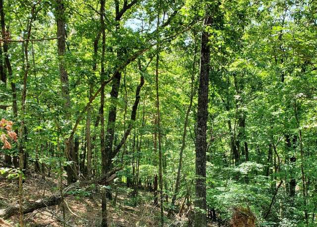 Property at 0 Asbury Mill Rd, Cleveland, GA 30528