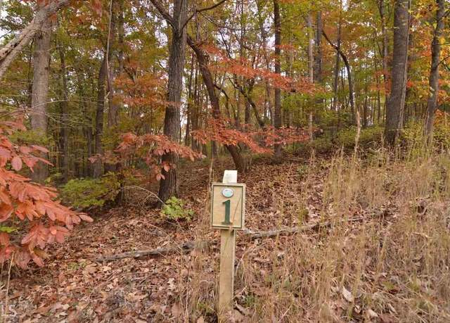 Property at LOT 1 Serenity Rdg, Blairsville, GA 30512