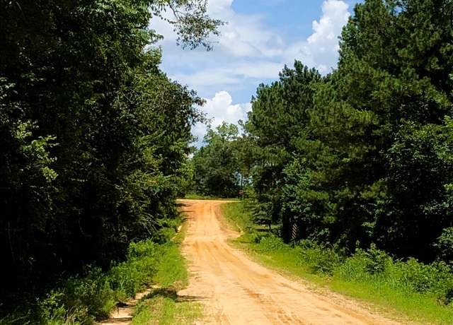 Property at 0 Raymond Wilkes Rd, Rockledge, GA 30454