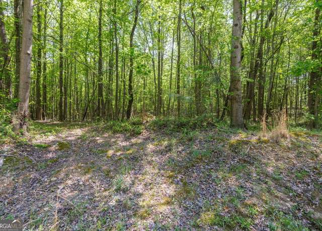 Property at 230 Dyer Road Tract 2, Gillsville, GA 30543