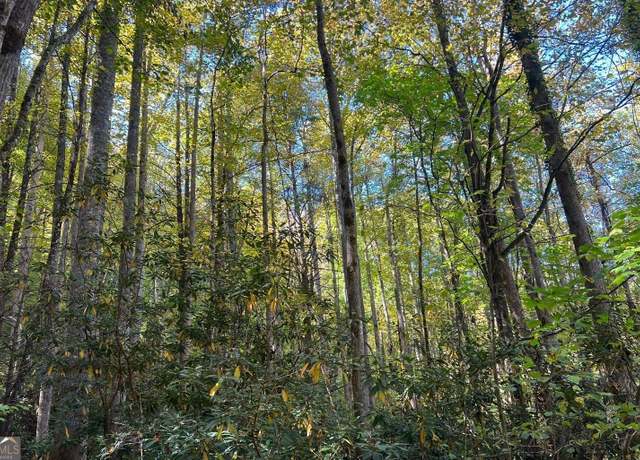 Property at TR 1 Tusquittee Rd, Hayesville, NC 28904