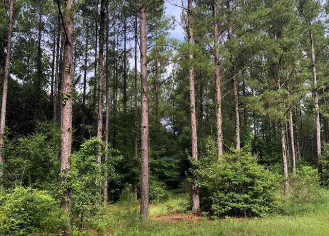 Property at 0 Little Sandy Rd, Toomsboro, GA 31090