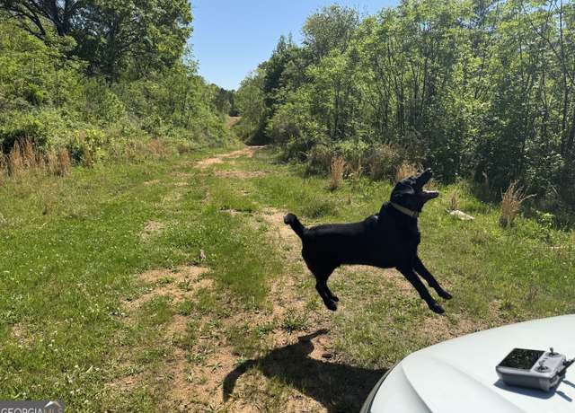 Property at 0 Us 53 Hwy, Bogart, GA 30622