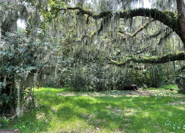 Property at TR 2 & TR 3 Emanuel Farm Rd, Brunswick, GA 31525
