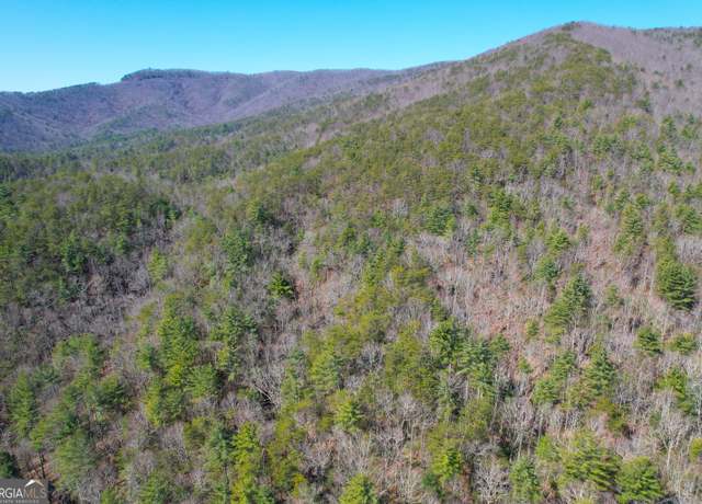 Property at 156 +/- Acres Off Peeples Lake Rd, Chatsworth, GA 30705