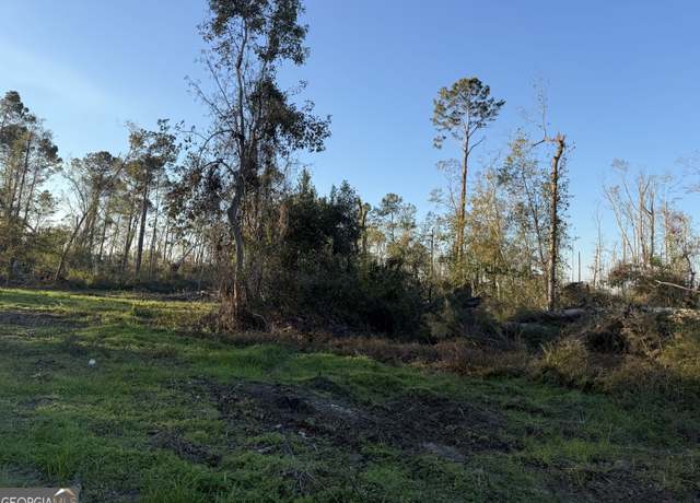 Property at 0 Old Graham Rd, Hazlehurst, GA 31539