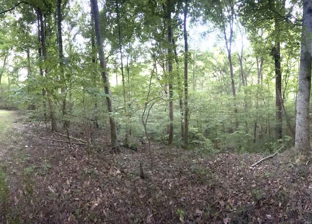Property at 667 Sanford Ct, Ranger, GA 30734