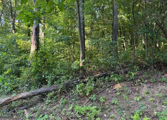 Property at 0 Trailwood Dr, Ellijay, GA 30536