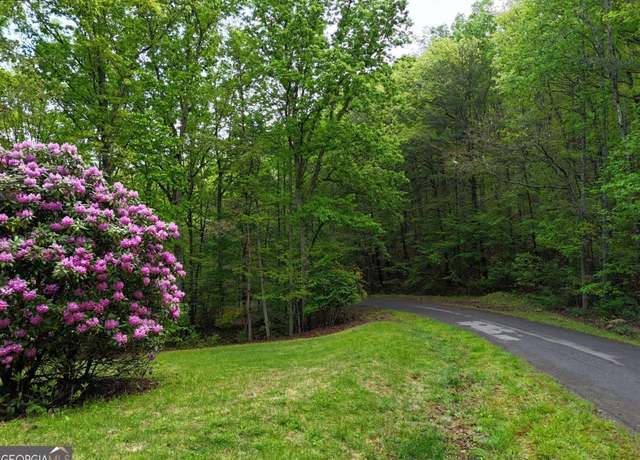 Property at L93 - 95 Timberline, Young Harris, GA 30582