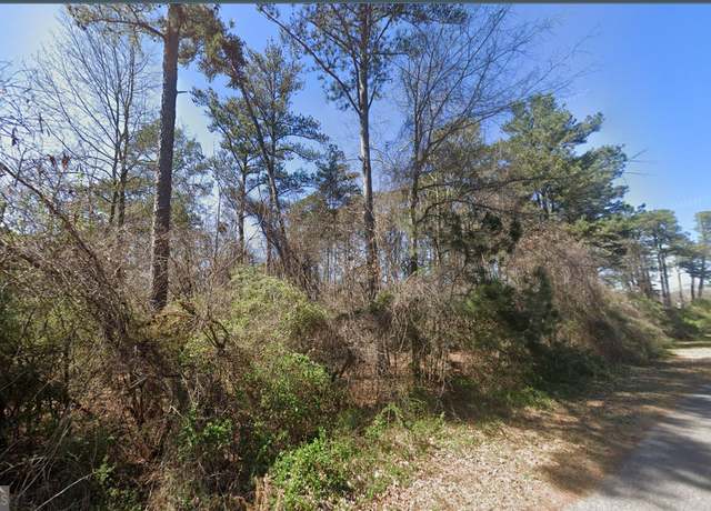Property at 0 Lillian Ln, Morrow, GA 30260