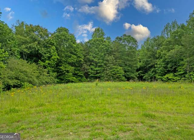 Property at 464 Deer Meadows Estates Rd, Carnesville, GA 30521