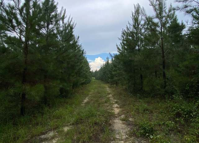 Property at 0 Highway 242, Bartow, GA 30413