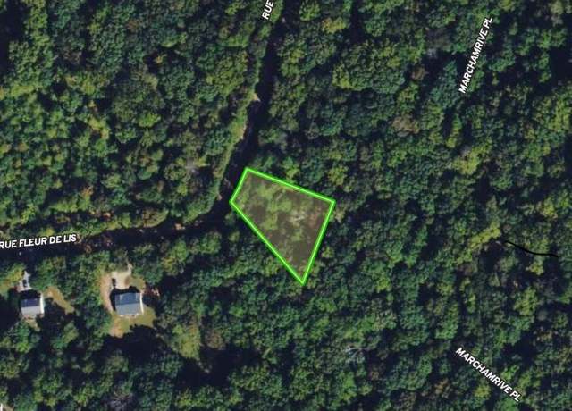 Property at 0 Rue Fleur De Lis #187, Lavonia, GA 30553