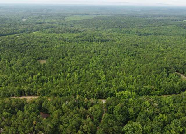 Property at 0 State Route 240 Rd, Ideal, GA 31041