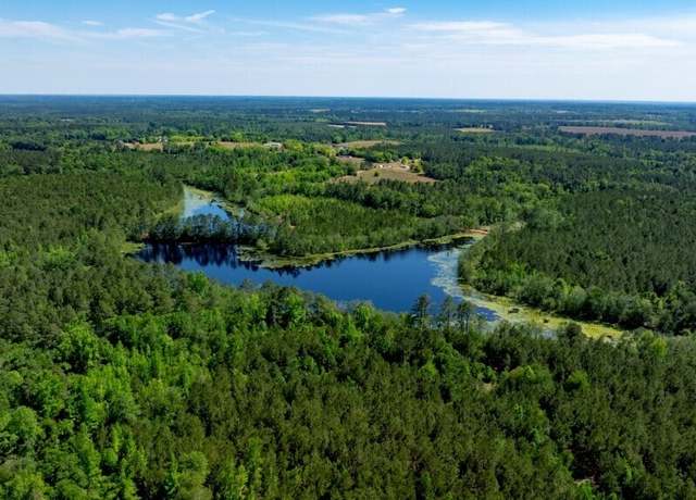 Property at 2199 Brooks Ln, Metter, GA 30439