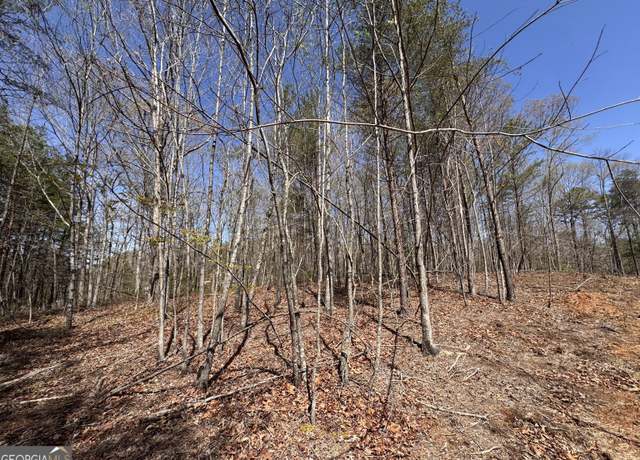 Property at 0 Highway 129 N, Cleveland, GA 30528