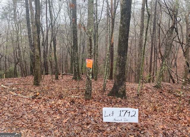 Property at 3190 Newport Dr, East Ellijay, GA 30540