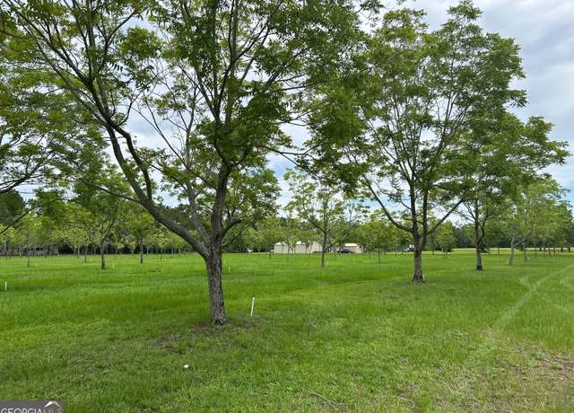 Property at 0 Myrtle Rd, Claxton, GA 30417
