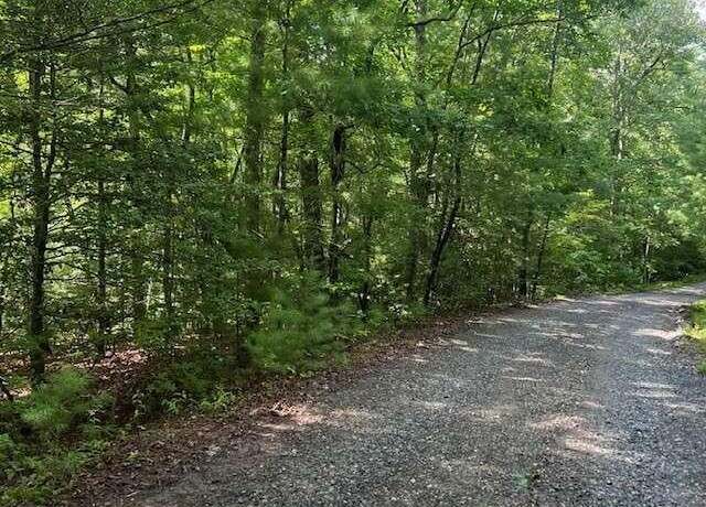 Property at 0 Hillbilly Holler, Blue Ridge, GA 30513