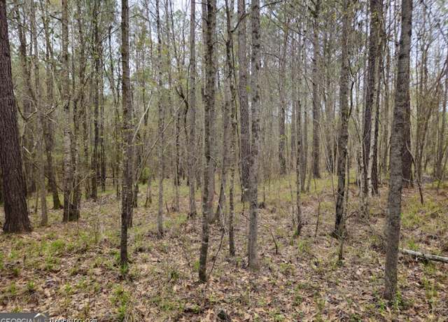 Property at TRACT 3 Us Highway 341 N, Musella, GA 31066
