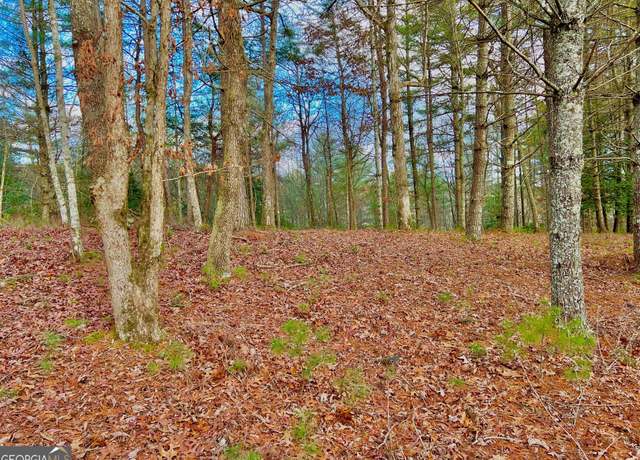 Property at 0 Hawks Vw, Morganton, GA 30560