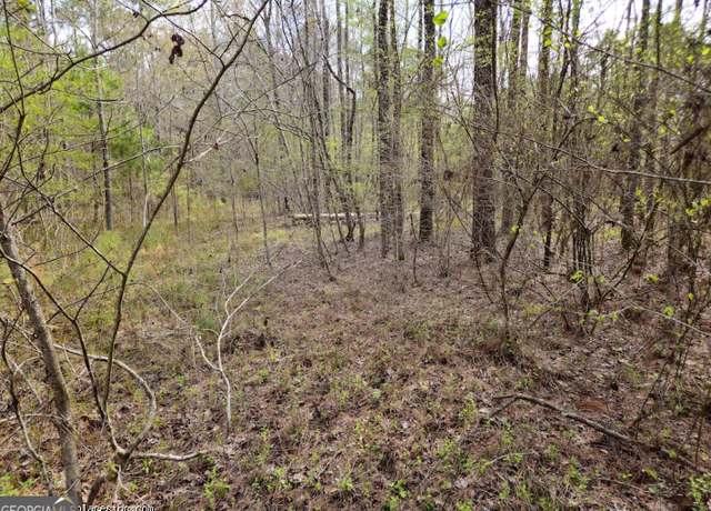 Property at TRACT 1 Us Highway 341 N, Musella, GA 31066
