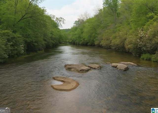 Property at 1051 Pate Rd Unit TRACT 5 & 6, Cragford, AL 36255