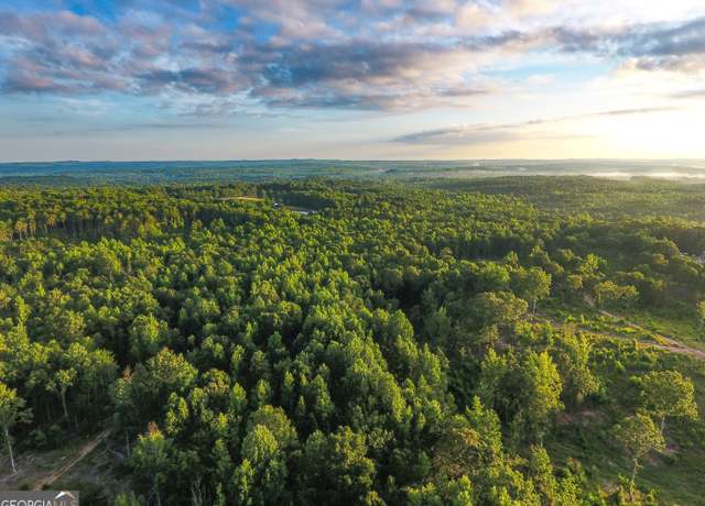 Property at 0 Roy Dean Rd, Buchanan, GA 30113