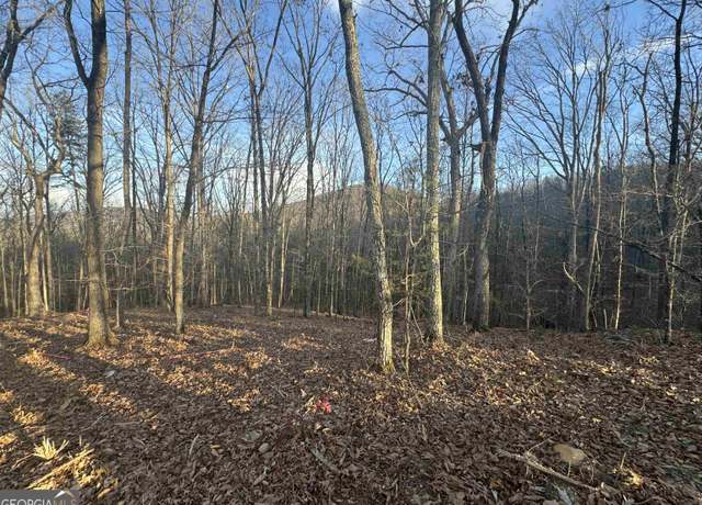 Property at LOT 55 Teel Mtn Dr, Cleveland, GA 30528