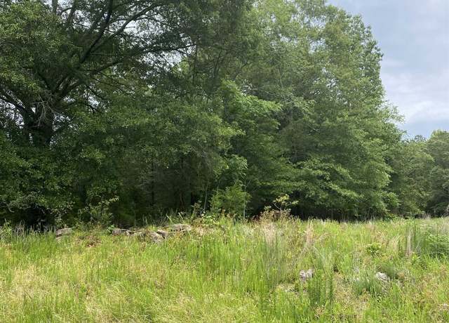 Property at 0 River Birch Ln, Colbert, GA 30628