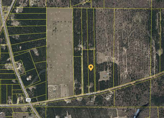 Property at 175 Mauk Rd, Mauk, GA 31058