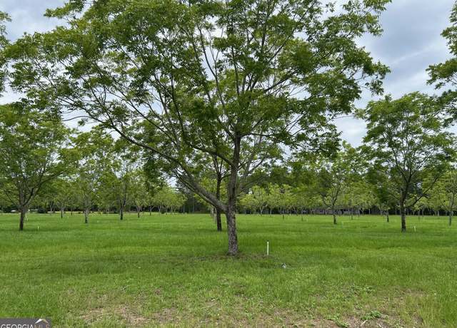 Property at 0 Myrtle Rd, Claxton, GA 30417
