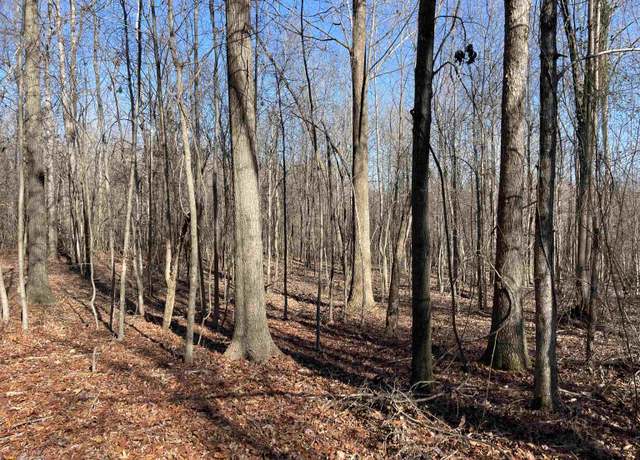 Property at 0 Farmers Academy Rd, Martin, GA 30557