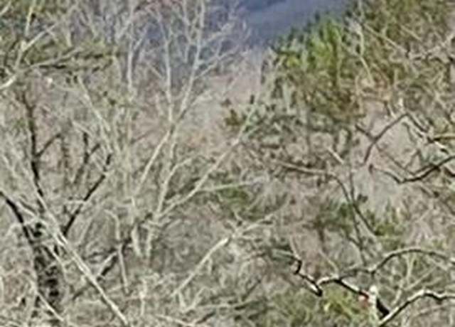 Property at 0 Possum Poke #29, Ellijay, GA 30536