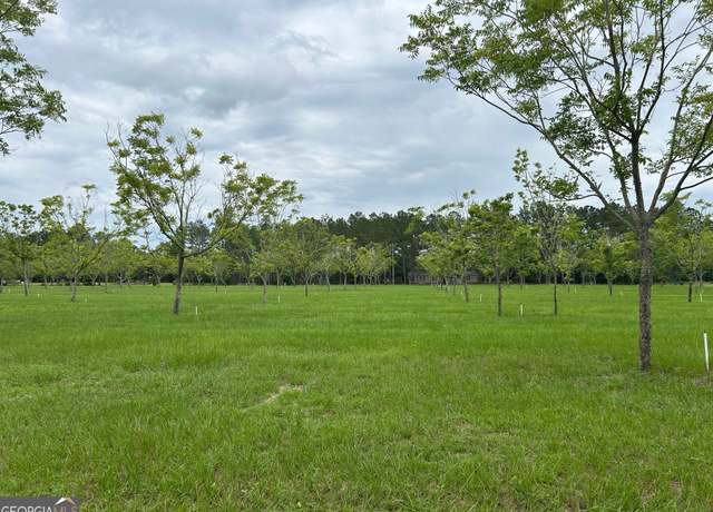 Property at 0 Myrtle Rd, Claxton, GA 30417