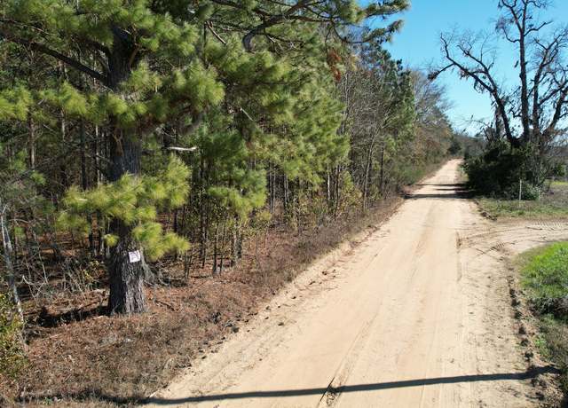Property at 0 Ennis School Rd, Sylvania, GA 30467