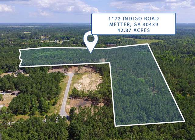 Property at 1172 Indigo Rd, Metter, GA 30439