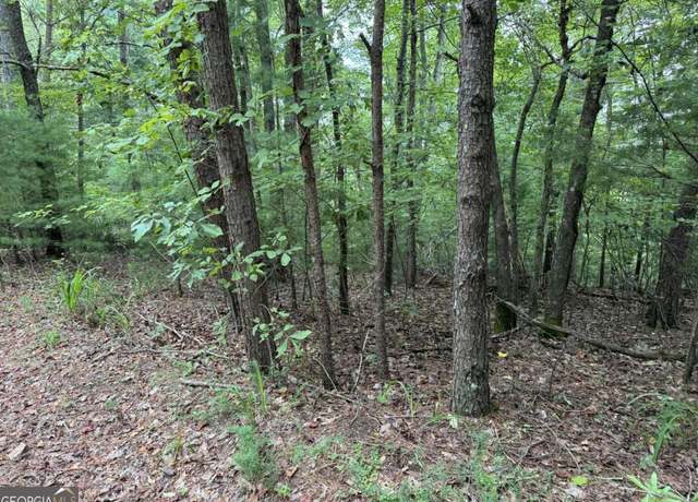 Property at 0 Shade Tree, Talking Rock, GA 30175
