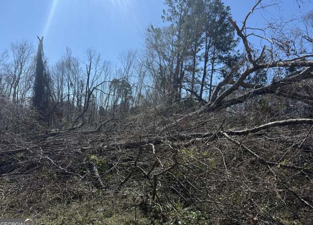 Property at 0 Wragler Ln, Hazlehurst, GA 31539