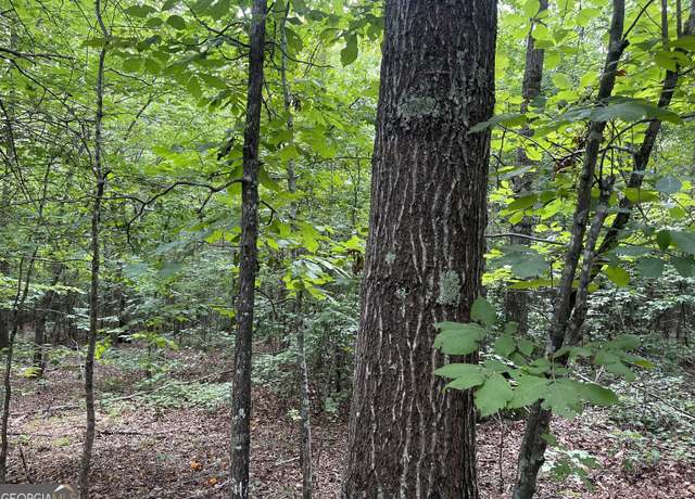 Property at 0 Dowdy Rd, Roopville, GA 30170