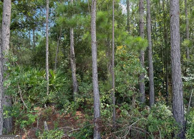 Property at 0 Foster Steadham, Baxley, GA 31513