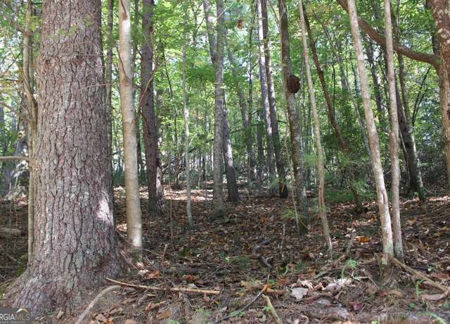 Property at LOT 546 N Satsuma Ct, Ellijay, GA 30540