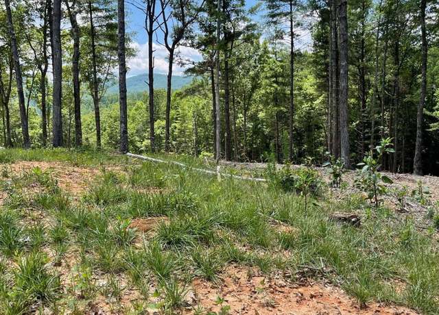 Property at LOT 95 The Rdgs, Morganton, GA 30560