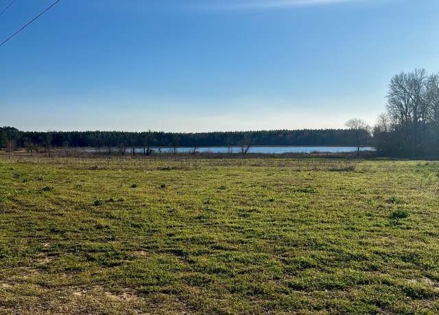 Property at 0 Mt. Olive Rd, Dublin, GA 31021