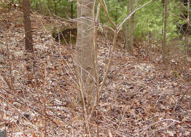 Property at #10 Spaniard Point Rd, Hiawassee, GA 30546