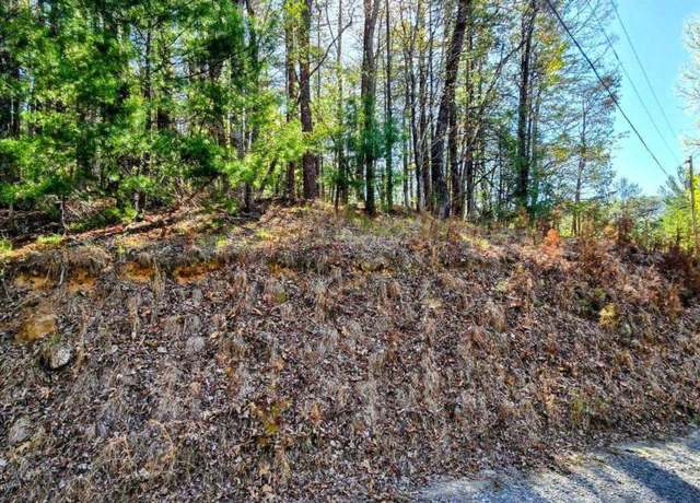 Property at P12 Goldmine Dr, Ellijay, GA 30536